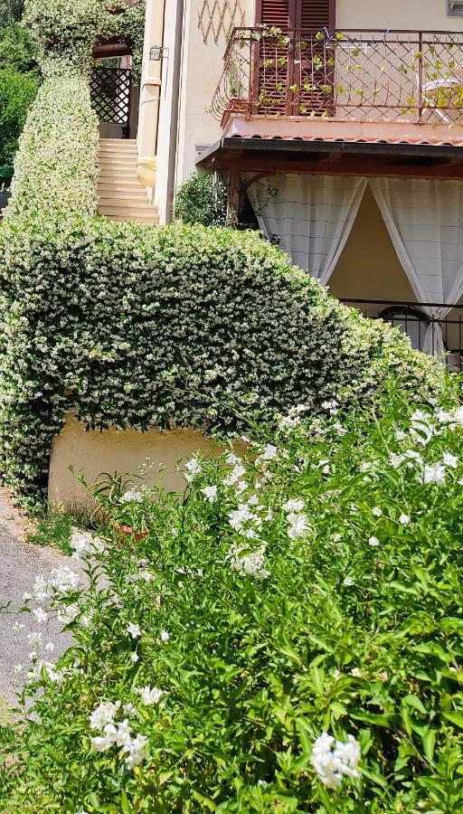 La Bouganville E Il Gelsomino Пиетрасанта Екстериор снимка