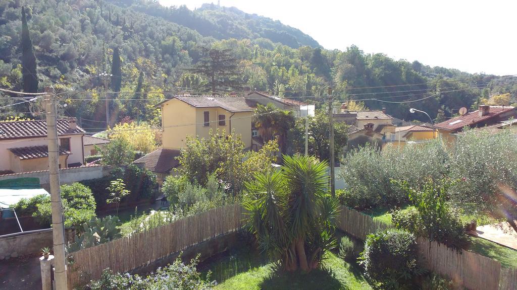 La Bouganville E Il Gelsomino Пиетрасанта Екстериор снимка